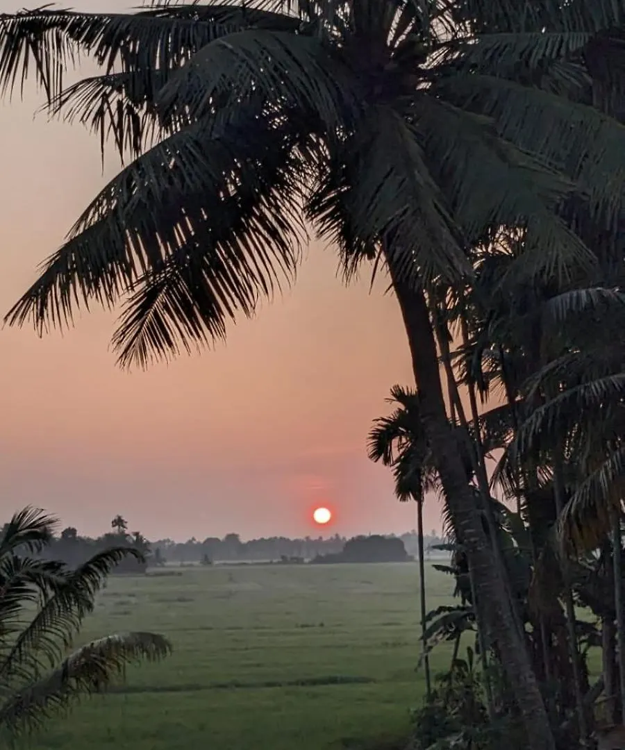 Paddy N Canal Homestay Alappuzha